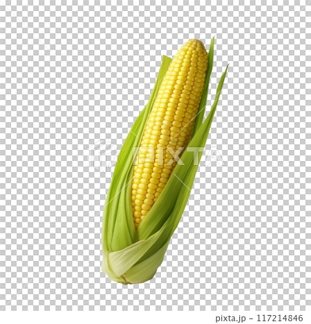 Isolated Sweet Corn Ears with Green Leaves Without Background. 117214846