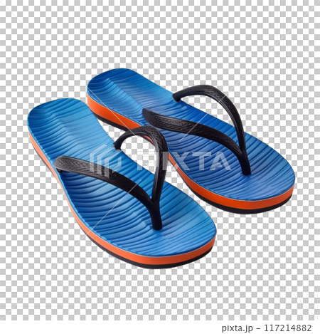 Stylish Flip Flops in Blue and Orange Colors Isolated Without Background. 117214882