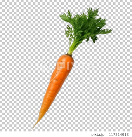 Fresh Orange Carrot with Green Leaves Isolated Without Background. 117214918