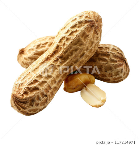 Isolated Raw Peanuts with Shells and Kernels Without Background 117214971