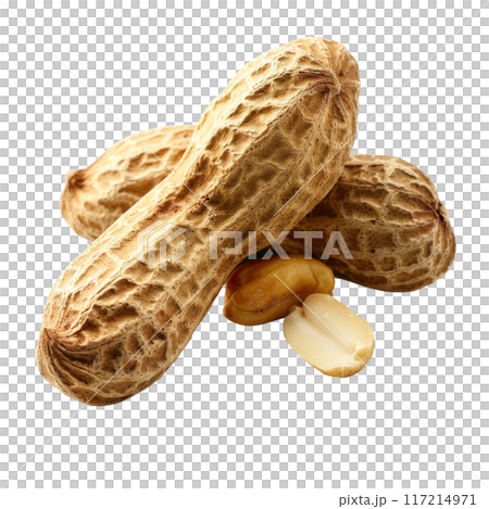 Isolated Raw Peanuts with Shells and Kernels Without Background 117214971