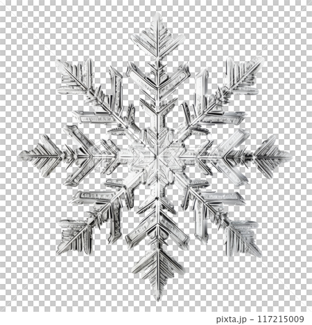 Intricate Crystal Snowflake Isolated with Transparent Background. Intricate Crystal Snowflake Isolated with Transparent Background. 117215009