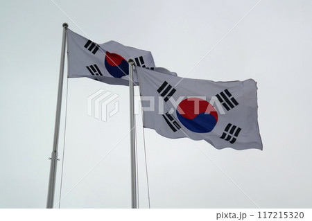 Two flags of South Korea are blowing in the wind Two flags of South Korea are blowing in the wind 117215320