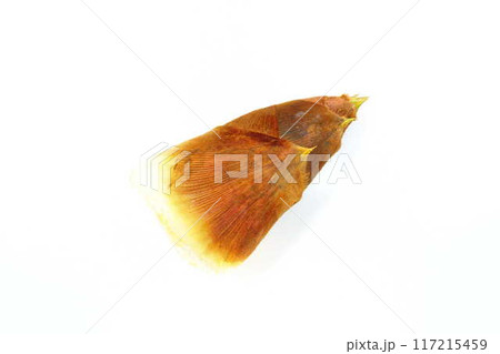 タケノコ　たけのこ　竹の子　筍 117215459