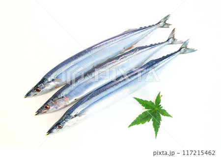 サンマ　秋刀魚　さんま 117215462