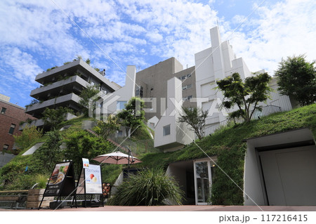 白井屋ホテル 117216415