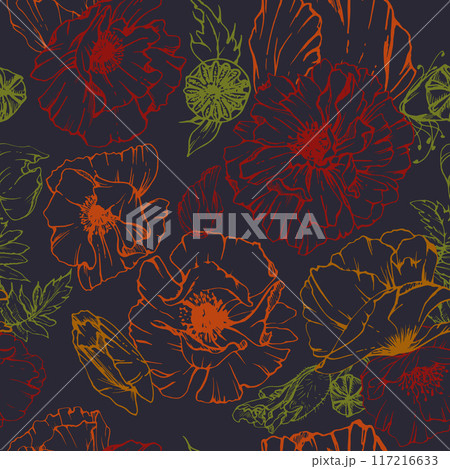 Hand drawn vector graphic botanical illustration flowers leaves. Red poppy papaver, stems buds seedpods. Seamless pattern isolated dark background. Design wedding, paper, remembrance day stationery 117216633
