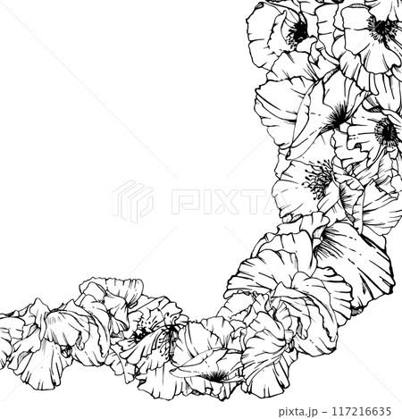 Hand drawn vector graphic botanical illustration flowers leaves. Red poppy papaver, stems buds seedpods. Border frame isolated on white background. Design wedding, cards, remembrance day stationery. Hand drawn vector graphic botanical illustration flowers leaves. Red poppy papaver, stems buds seedpods. Border frame isolated on white background. Design wedding, cards, remembrance day stationery. 117216635