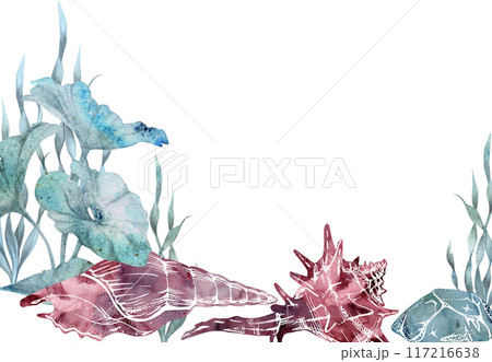 Watercolor and ink hand drawn marine life, sea ocean underwater creatures. fish, shells algae seaweed. Border frame illustration, stylized, isolated on white. For zoo shop, aquarium, cosmetics, resort Watercolor and ink hand drawn marine life, sea ocean underwater creatures. fish, shells algae seaweed. Border frame illustration, stylized, isolated on white. For zoo shop, aquarium, cosmetics, resort 117216638