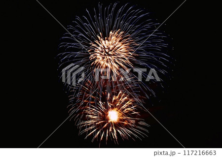 夏の夜空を彩る光花火大会2024-3 117216663