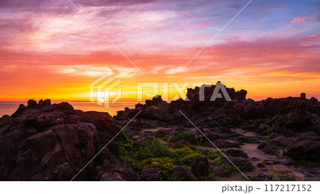 十六羅漢岩・夕景 十六羅漢岩・夕景 117217152
