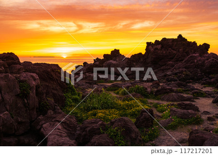 十六羅漢岩・夕景 十六羅漢岩・夕景 117217201