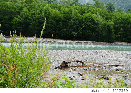 川のある風景と流木 川のある風景と流木 117217379