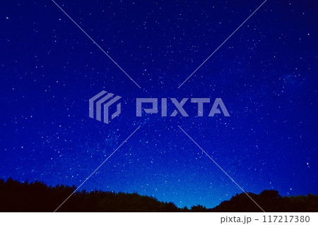 萩野平展望台からのハクチョウ座周辺の天の川 117217380