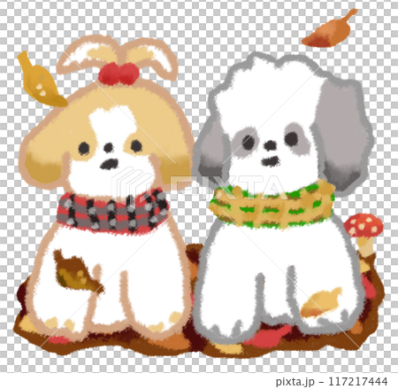 Autumn leaves and cute Shih Tzu 117217444