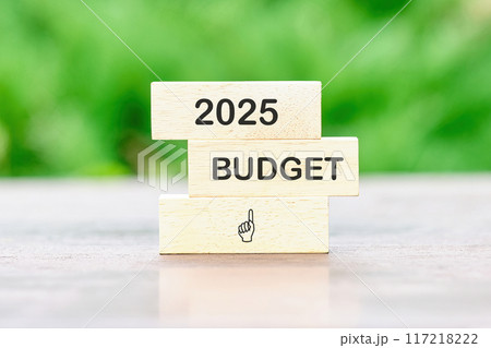 Conceptual budget 2025 symbol. Copy space. Budget 2025 words written on wooden bars against a background of green plants without focus Conceptual budget 2025 symbol. Copy space. Budget 2025 words written on wooden bars against a background of green plants without focus 117218222