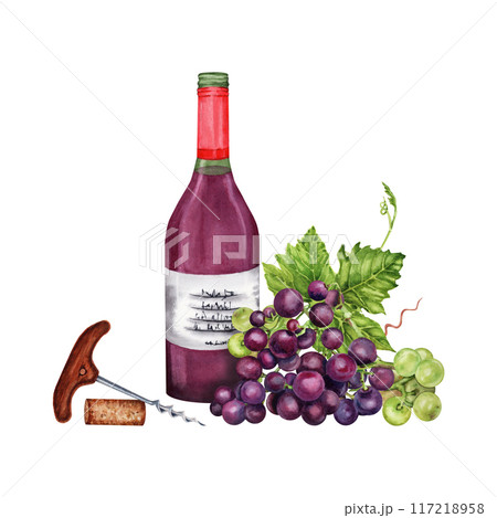 Bottle of red wine with grapes, corkscrew and a wine cork. Hand drawn watercolor illustration on transparent background Bottle of red wine with grapes, corkscrew and a wine cork. Hand drawn watercolor illustration on transparent background 117218958