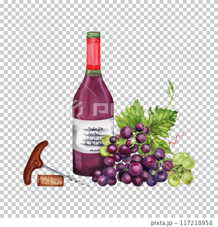 Bottle of red wine with grapes, corkscrew and a wine cork. Hand drawn watercolor illustration on transparent background Bottle of red wine with grapes, corkscrew and a wine cork. Hand drawn watercolor illustration on transparent background 117218958