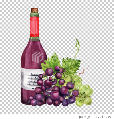 Bottle of red wine with grapes and green grape vines and leaves. Hand drawn watercolor illustration on transparent background Bottle of red wine with grapes and green grape vines and leaves. Hand drawn watercolor illustration on transparent background 117218959
