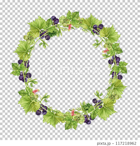 Round wreath frame with green and red grapes and leaves. Watercolor hand drawn illustration perfect for cards, invitations and other designs Round wreath frame with green and red grapes and leaves. Watercolor hand drawn illustration perfect for cards, invitations and other designs 117218962