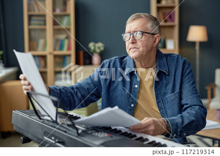 Portrait of senior man playing piano and reading sheet music while enjoying creative hobby in retirement 117219314