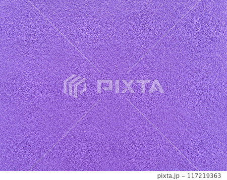 フェルト_紫色 117219363