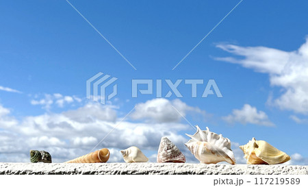 貝殻6つと青空と白い雲 117219589