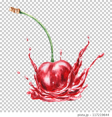 Red cherry in a splash. Juicy hand drawn watercolor illustration. Delicious food art, fresh botanical realistic painting. Summer berry clipart for menu, prints, packaging of farm goods, vegan products 117219644