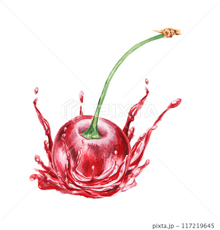 Red cherry in a splash. Juicy hand drawn watercolor illustration. Delicious food art, fresh botanical realistic painting. Summer berry clipart for menu, prints, packaging of farm goods, vegan products Red cherry in a splash. Juicy hand drawn watercolor illustration. Delicious food art, fresh botanical realistic painting. Summer berry clipart for menu, prints, packaging of farm goods, vegan products 117219645