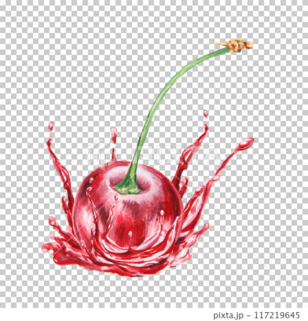 Red cherry in a splash. Juicy hand drawn watercolor illustration. Delicious food art, fresh botanical realistic painting. Summer berry clipart for menu, prints, packaging of farm goods, vegan products Red cherry in a splash. Juicy hand drawn watercolor illustration. Delicious food art, fresh botanical realistic painting. Summer berry clipart for menu, prints, packaging of farm goods, vegan products 117219645
