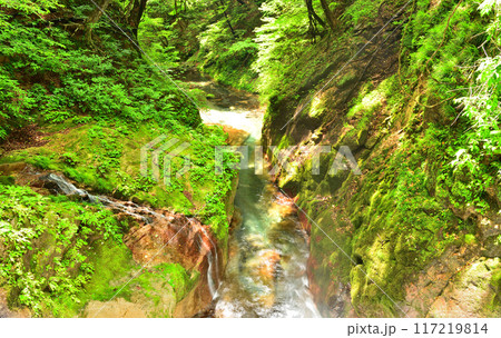 栃木県塩谷郡塩谷町 尚仁沢湧水の風景 栃木県塩谷郡塩谷町 尚仁沢湧水の風景 117219814
