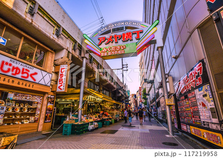 日本の東京都市景観 インバウンド復活…外国人観光客に人気のアメ横などを望む＝5日 117219958