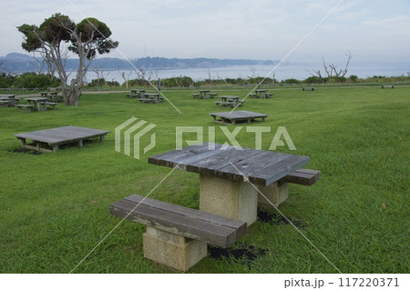 真夏の城ヶ島公園　インバウンド 117220371