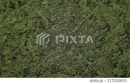 Camouflage glossy background of green and black color close-up Camouflage glossy background of green and black color close-up 117220653