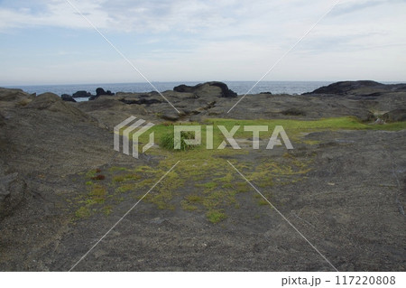 真夏の城ヶ島公園　インバウンド 117220808