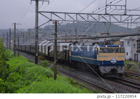 曇天の横須賀線を走るEF65-501号機牽引の「レトロ横濱」号_2009/6/28撮影 117220954
