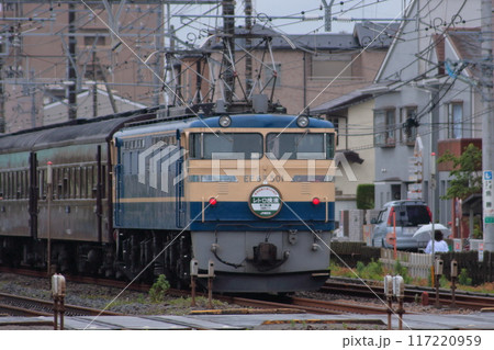 往年の姿で東海道線を走行するEF65-501号機牽引のレトロ横浜号_2009/6/6撮影 117220959