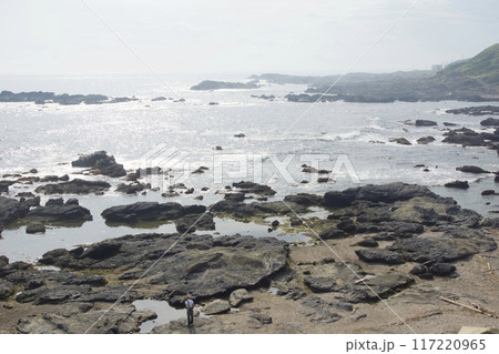 真夏の城ヶ島公園 インバウンド 真夏の城ヶ島公園 インバウンド 117220965