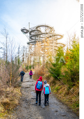 A group of people hike on a trail leading to the Sky Walk Tower in Swieradow Zdroj, Poland. The tower stands tall in the distance, surrounded by trees and a clear blue sky. 117221008