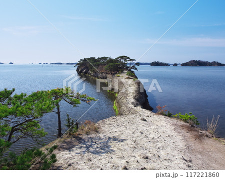 早春の宮城県　天然の桟橋　利府の馬の背 117221860