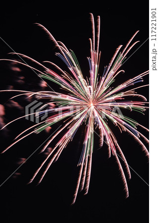 全国的にも有名な戸田橋・いたばし花火大会 117221901