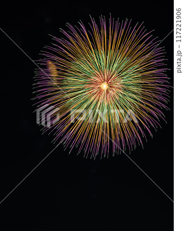 全国的にも有名な戸田橋・いたばし花火大会 117221906