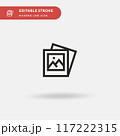 Photo Simple vector icon. Illustration symbol design template for web mobile UI element. Perfect color modern pictogram on editable stroke. Photo icons for your business project 117222315