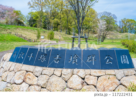 奈良県橿原市　新沢千塚古墳群公園 117222431