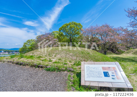 奈良県橿原市　新沢千塚古墳群公園の126号墳 117222436