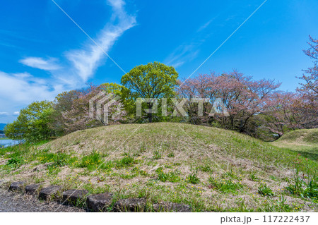 奈良県橿原市　新沢千塚古墳群公園の126号墳 117222437