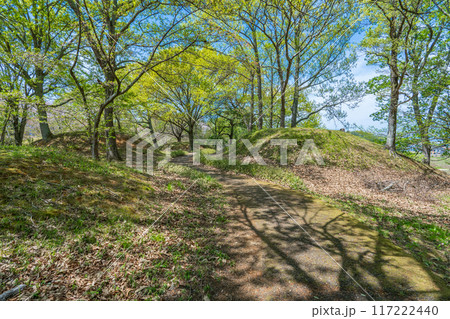 奈良県橿原市 新沢千塚古墳群公園の円墳と新緑の樹々 奈良県橿原市 新沢千塚古墳群公園の円墳と新緑の樹々 117222440