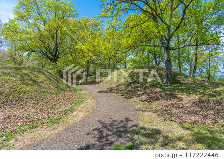 奈良県橿原市　新沢千塚古墳群公園の円墳と新緑の樹々 117222446
