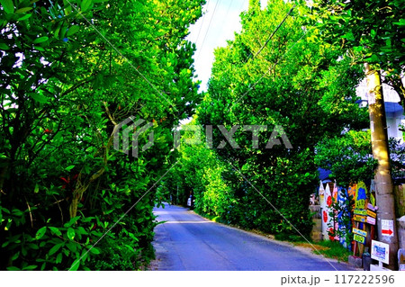 備瀬集落を散策し、時にはサイクリングを楽しむ 117222596