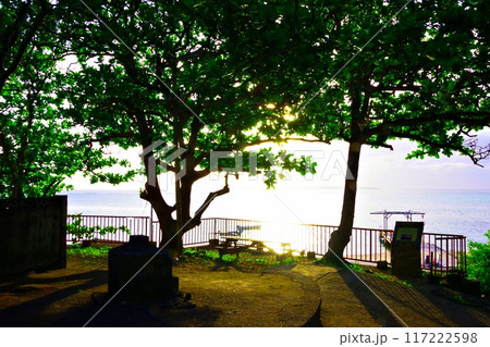 フクギ並木の夕方の風景 117222598